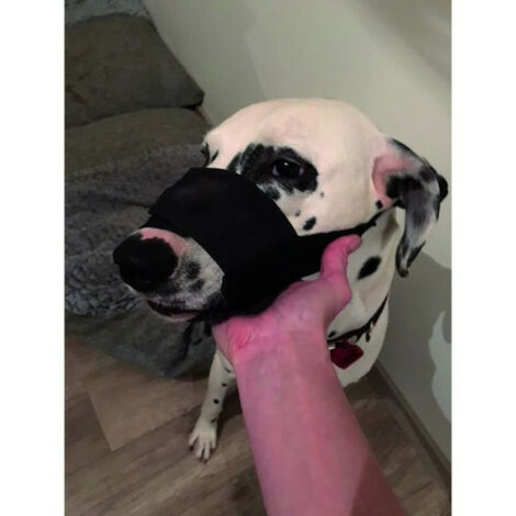 Bracelet Compatible Avec Amazfit GTR 3 - GTR3 Pro-GTR 4 - GTR 2 - GTR 2e - Stratos 3 - GTR 47mm