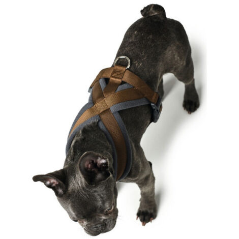Harnais pour Chien Hunter London Comfort XS-S 39-47 cm Marron