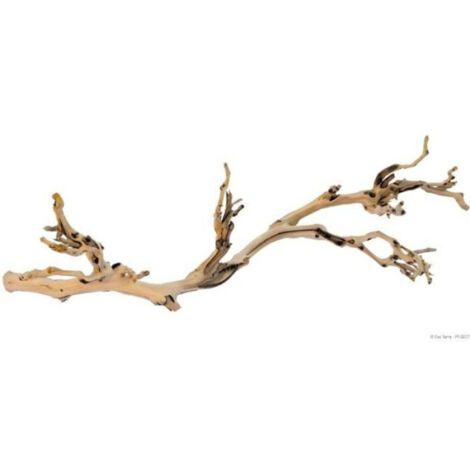 EXO TERRA Décoration Pied de vigne sablé - Grand modele - Pour terrarium