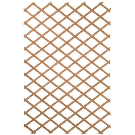 Treillis extensible en bois naturel 50 x 150 cm – Conçu pour plantes grimpantes – Kit de fixation inclus – Bois respectueux de l'environnement