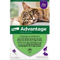 Advantage Solution Antipuce Chat Lapin +4kg 4 pipettes