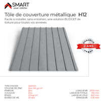 Tôle bac acier - Toiture - Couverture - plaque H12 Galvanisé Dimensions 2000 x 910 x 0.35 mm Zinc 140 gr S220GD