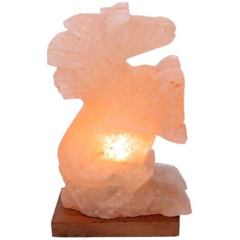 SudoreWell Lampada Di Sale Dell'Himalaya - Testa Di Cavallo Rosa, Originale Dalla Salt Range Pakistan, Con Portalampada E14 E Lampadina 15W Inclusa