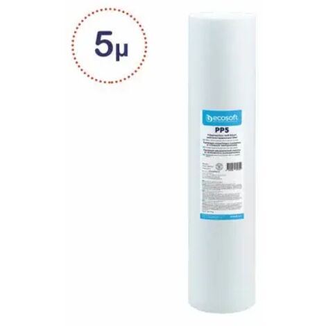 Filtre Anti sédiment BWT Ecosoft PP 5 Micron