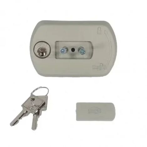 Somfy – Poignée de déverrouillage pour motorisation de portail coulissant Elixo Smart iO – Remplacement sécurisé avec 2 clés – Accessoire technique (1/2)