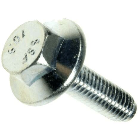VIS DE POULIE TAMBOUR POUR LAVE LINGE   BOSCH - 00171270 (1/2)