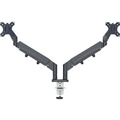 Supporto monitor doppio Leitz Ergo grigio scuro (1/3)