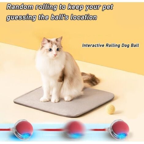 Balle Interactive à Rouler Pour Chien, Balle à Rouler Pour Chat Et