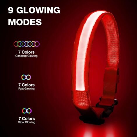 Collier LED Clignotant Pour Chien Ou Chat - Sécurité Nuit, Lumière Visible, Anti-perte