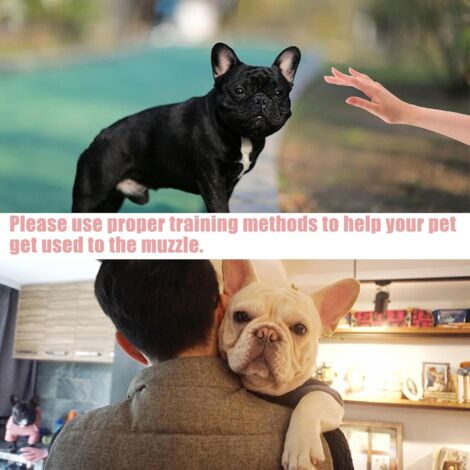 Muselière Respirante Pour Bouledogue Français - Réglable, Anti-morsure, Taille M
