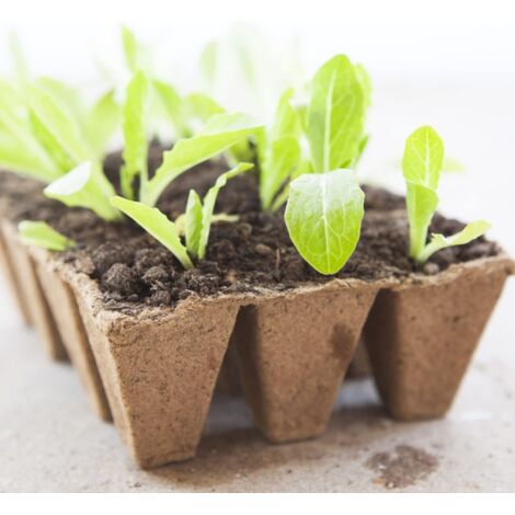 Pot Fleur 15Pcs Pot Semis Transparent 9Cm S Plastique Avec Dôme Et Pot Transparent Plante