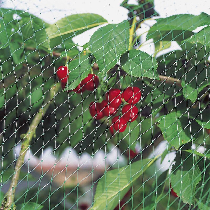 Rete Protettiva Uccelli Windhager - Maglia 15 Mm, Verde, 10x2 M, Per Laghetti E Piante - Foto 3