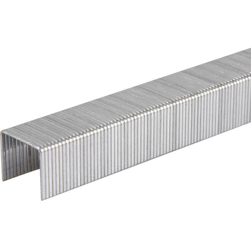 Tacwise 1476 Agrafes Galvanisées Type 53/6mm - Boîte De 2500 Pièces