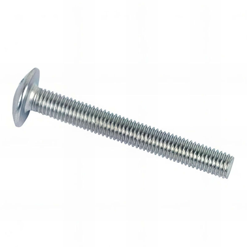 Boulons Poêlier VISSAL Acier Zingué - 10 Pièces, 8x25mm, Tête Large Ronde, Neufs