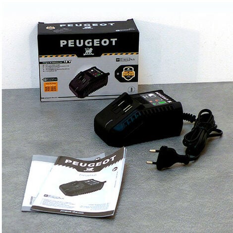EnergyHub Chargeur pour batteries 18V Li-Ion EnergyHub  - Garantie 3 ans , SAV++ Collect & Change,  chargeur neuf en 72h