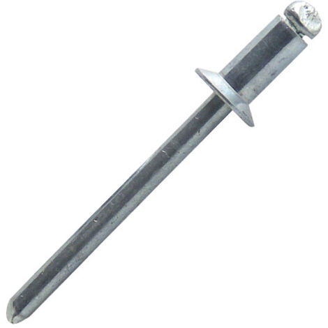 500 rivets aveugles acier TF, D. 4.8 x 10 mm - SK4810-BC - Scell-it (1/3)