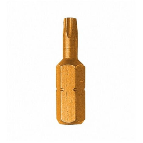 Leman - Embout de Vissage Titane Torx T25 / 25mm