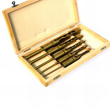 Coffret de mèches à bédane 5 pièces – Diamètres 6-8-10-12-16 mm – Queue 19,1 mm en carbure pour perçage précis – Holzprofi
