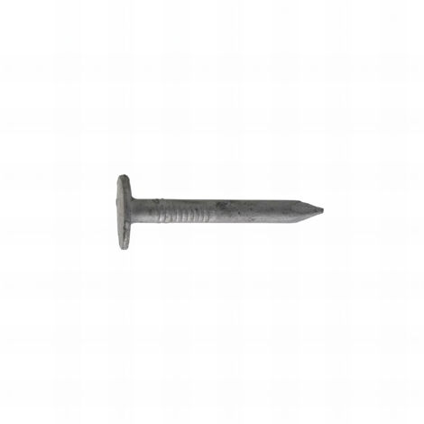 Clous ardoisier tête large - Lot de 5 kg (environ 2500) - galvanisés - diamètre 3 mm - Longueur 40 mm mm