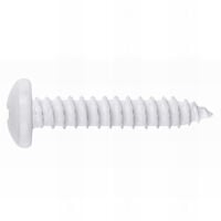 250 vis à tôle PH2, tête bombée 4,2 x 25 mm zingué blanc pour tôle et PVC - T814225BLE - Index