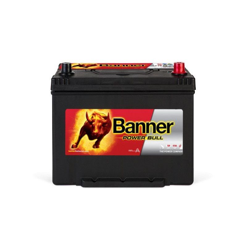 Banner Power Bull P9505 95Ah Autobatterie