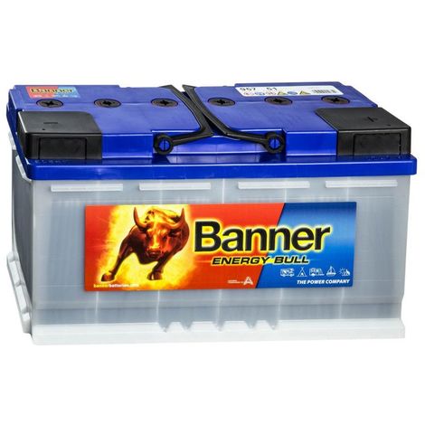 Batterie décharge lente Banner Energy Bull 95751 12v 100 ah