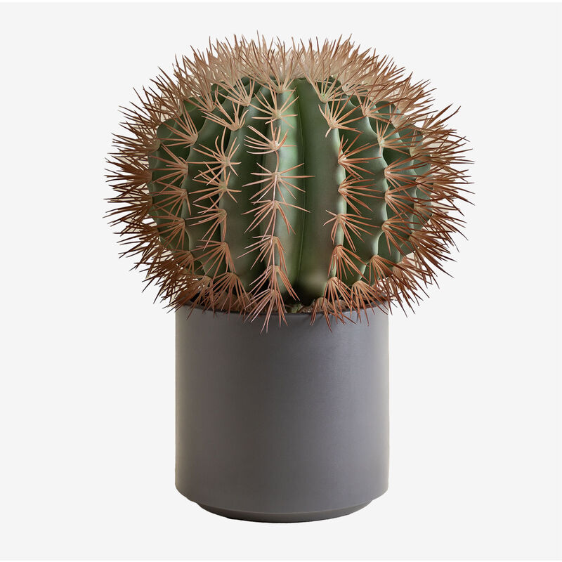 SKLUM Cactus artificiale Ferocactus ↑50 cm