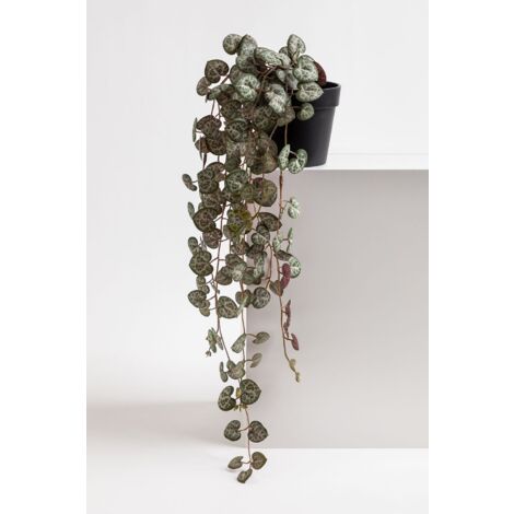 FEJKA pianta artificiale in vaso, da interno/esterno Ficus benjamina, 21 cm - Italia