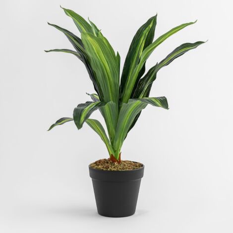 Pianta artificiale decorativa Dracaena 40 cm SKLUM            