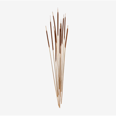 Confezione da 10 rami secchi decorativi Stoilan SKLUM