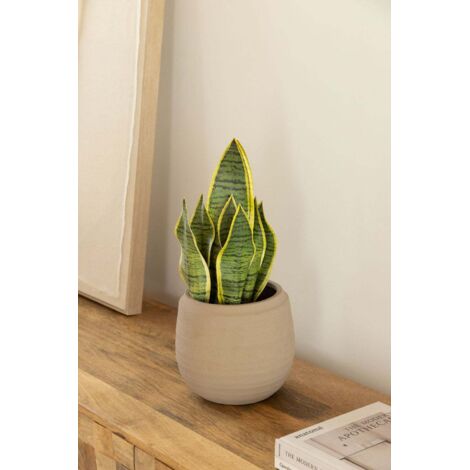 RELAX4LIFE Set Di 2 Topiaria Palla Con Fiori Artificiali, Sfera Di Bosso Sintetica, Palline Di Bosso Pianta Artificiale Decorativa Diametro 37cm 85708123