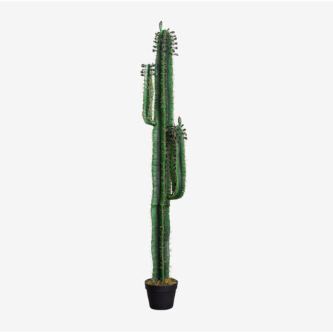 Cactus Artificiale In Resina/Cemento - Altezza 27 Cm, Dimensione 10x10 Cm, Decorazione Per Interni - 2