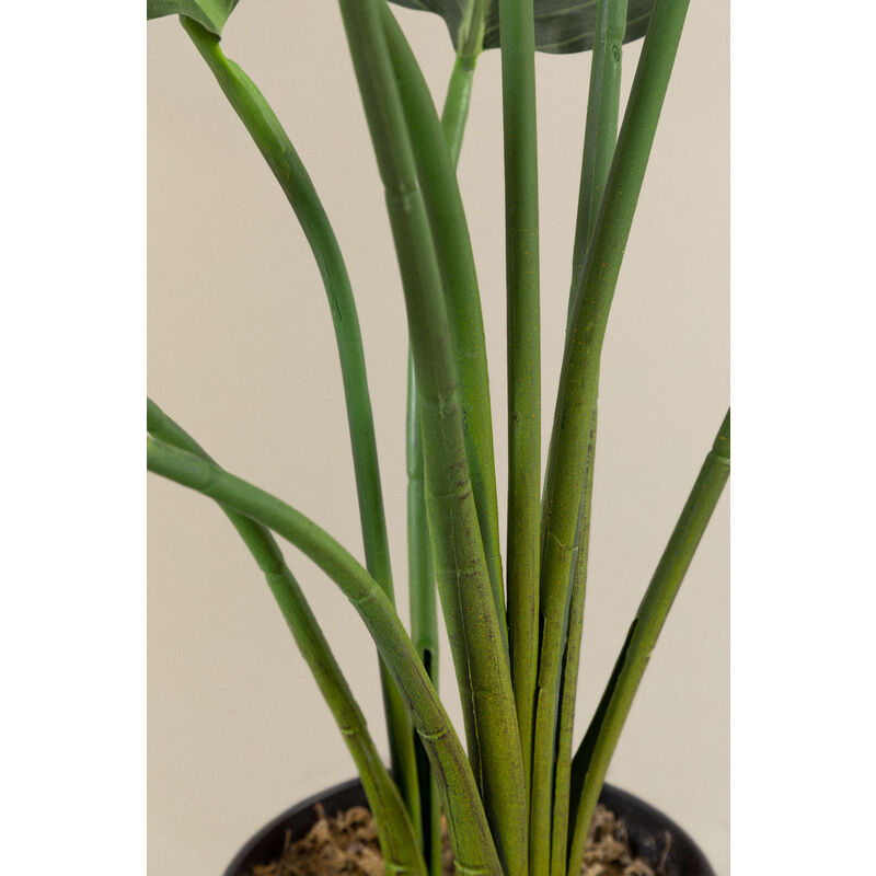 Plante Artificielle Décorative Monstera 35 cm - SKLUM