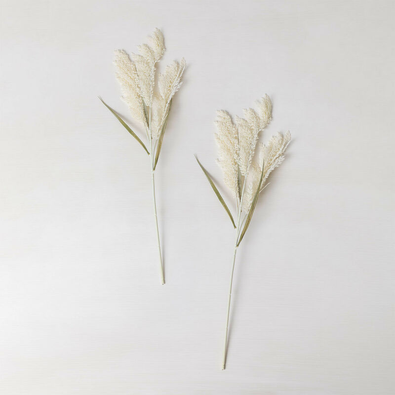 Pack of 5 Decorative Dried Branches Dagrai - SKLUM