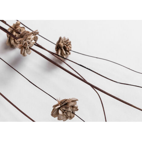 SKLUM Lot De 4 Branches Séchées Décoratives Urpek Blanc - Maison