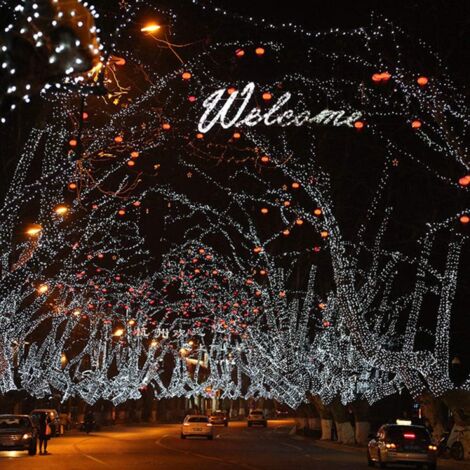 100M 600 LED Guirlandes Lumineuses Carnaval Mariage Extérieur Jardin Intérieur Éclairage, Guirlande LED Guirlande Lumineuse Guirlande Pour Arbre De Noël Décoration Gazebo Guirlande, Blanc Froid-