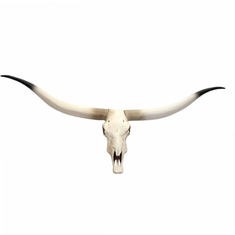 Deco Cráneo de Vaca HHG-698, Trofeo Cabeza de Toro Cabeza de Animal Longhorn, Poliresina 103x43x11cm