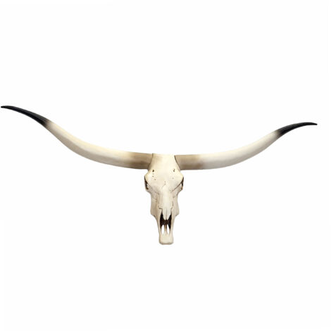 [NUNCA USADO] Deco Cráneo de Vaca HHG-698, Trofeo Cabeza de Toro Cabeza de Animal Longhorn, Poliresina 103x43x11cm