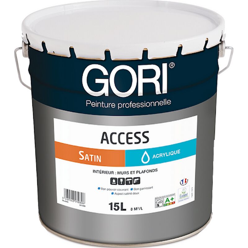 Peinture Gori Avis