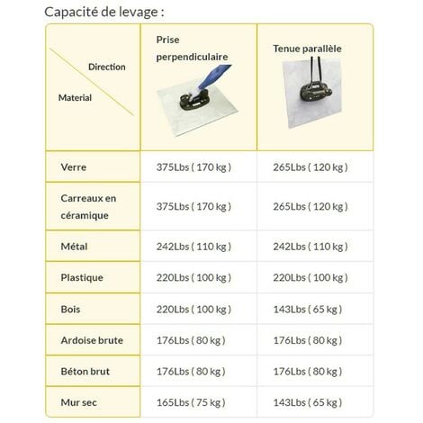 copy of Ventouse electrique sur batterie - capacité jusqu'à 170 kg