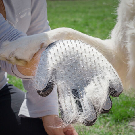 Gant pour Brosser et Masser les Animaux Domestiques Relpet InnovaGoods (1/5)