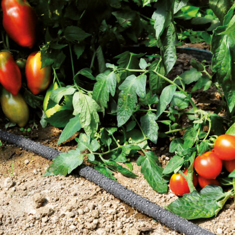 GARDEBRUK® 3x Tuyau d'irrigation microporeux 3x 15m 1/2' | WhichOne