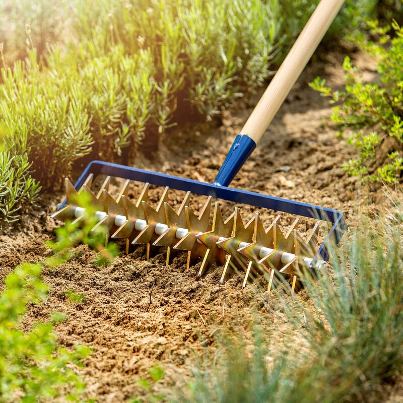 Produktbild von D&O Handkultivator  Borstahl  1 Zinken Gesamtlänge 42 Cm Mit Holzgriff Rollgrubber, Sternfraese, Kultivator, Gartenfraese, Rollhacke, Kruemler, Gartengeraet, Rollkultivator 4625159636