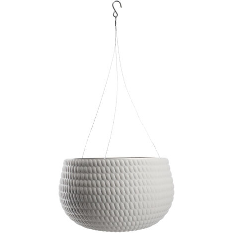 freesien zimmerpflanze Freesien Weiß (einfach) (x15)