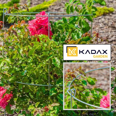 KADAX Pflanzenstütze Aus Stahl – 60 Cm Hoch, Pulverbeschichtet, Wetterfest, Für Rosen & Stauden Im Garten