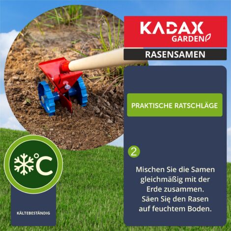 Berliner Tiergarten Rasensamen - Universalrasen Grassamen Rasen