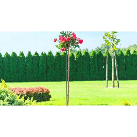 Jetec Landschaftseinfassungs-Heringe, 30,5 Cm, Schwarz – 100 Stück, Für Gartenplanen, Unkrautvlies, Zelte