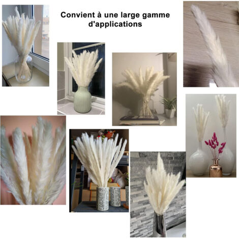 Herbe De La Pampa Séchée Rose - Lot De 50 Tiges, 40 Cm - Décoration Bohème Maison, Mariage