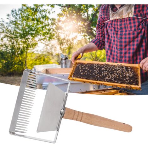 Fourche à Désoperculer Apiculture – 19 Dents Acier Inoxydable – Outil Pour Ruche, Extraction Miel – Poignée Plastique
