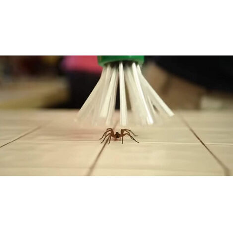 Attrape-Insectes Télescopique Long Manche Avec Loupe – Capture Araignées, Mouches Et Petits Poissons